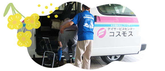 コスモスの1日