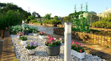 2025年7月1日 食事レク