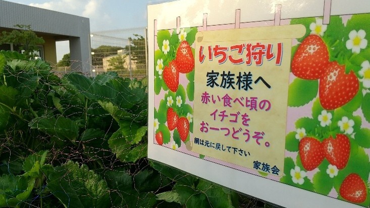 2025年7月1日 食事レク