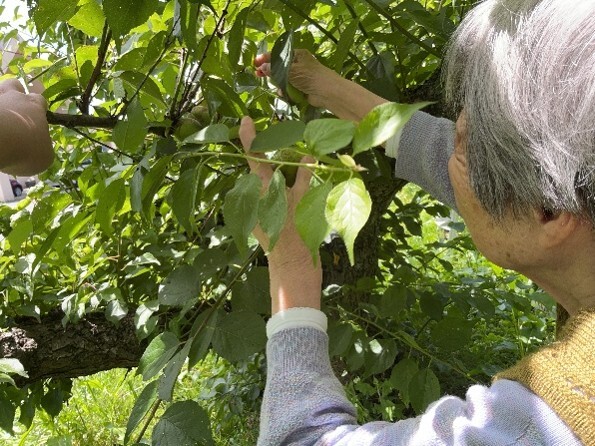 2025年5月31日 5月の出来事