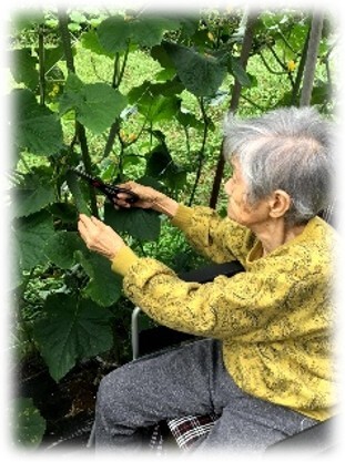 2025年5月31日　5月の出来事